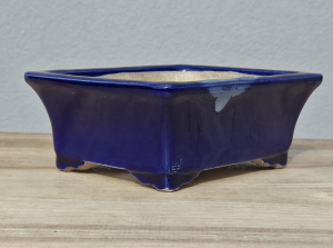 Tokoname Terahata Satomi 160mm × 135mm × 65mm